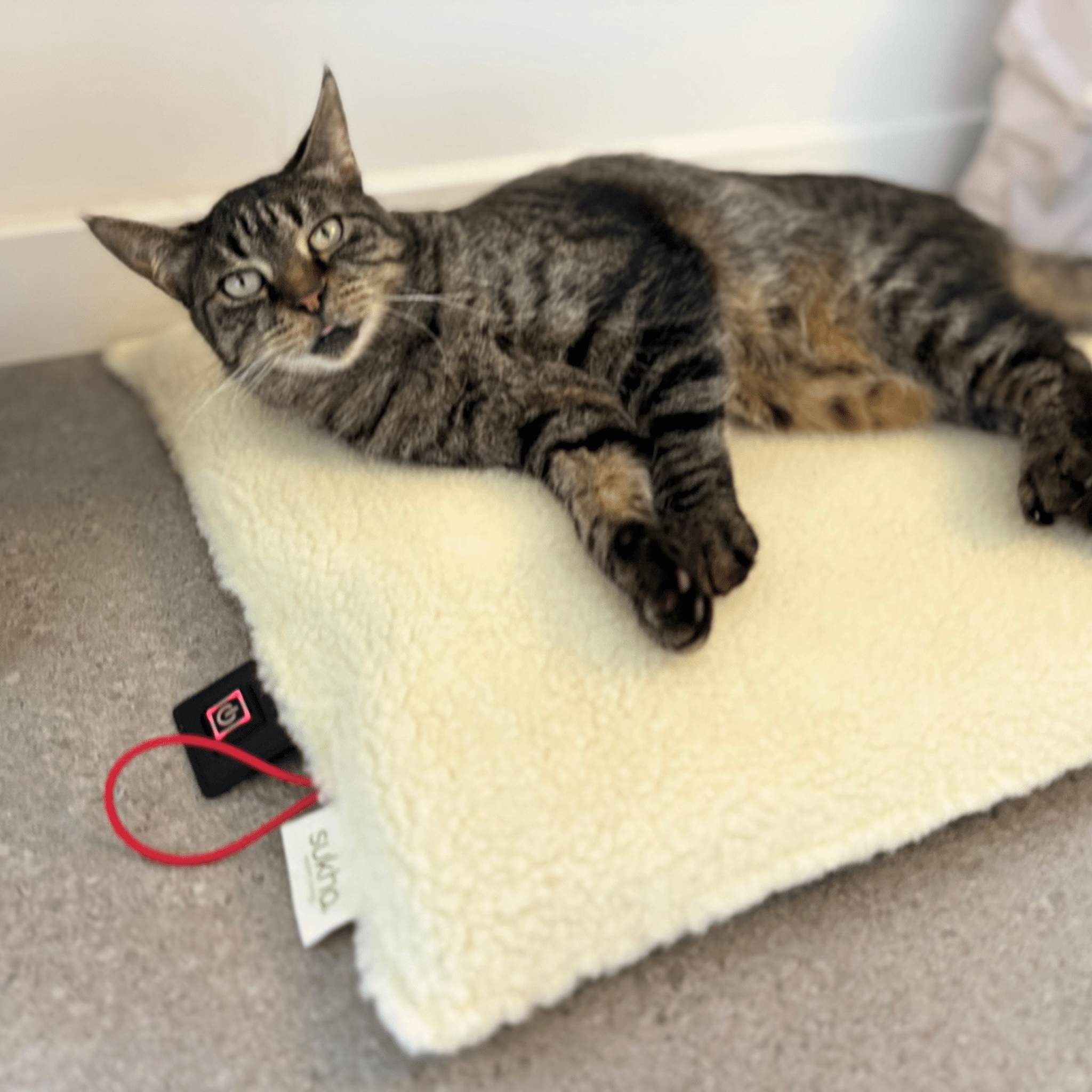 Pacha Mini - Coussin chauffant chat-petit chien - Sukha